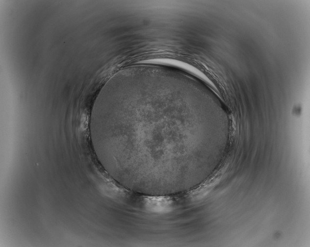 X0000099570281200805161524