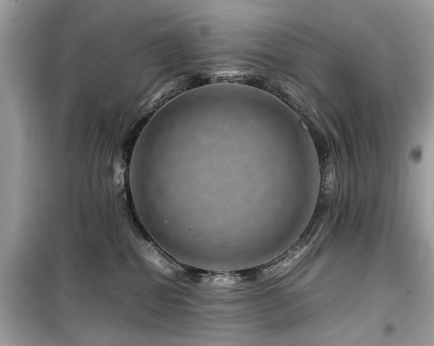 X0000099570282200805161524