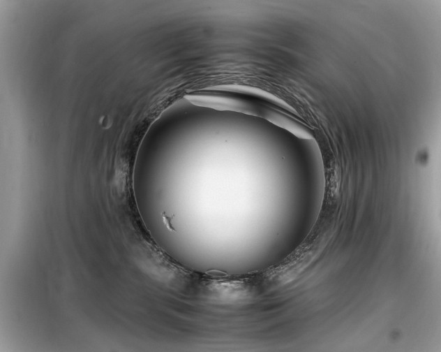 X0000099570283200805161524