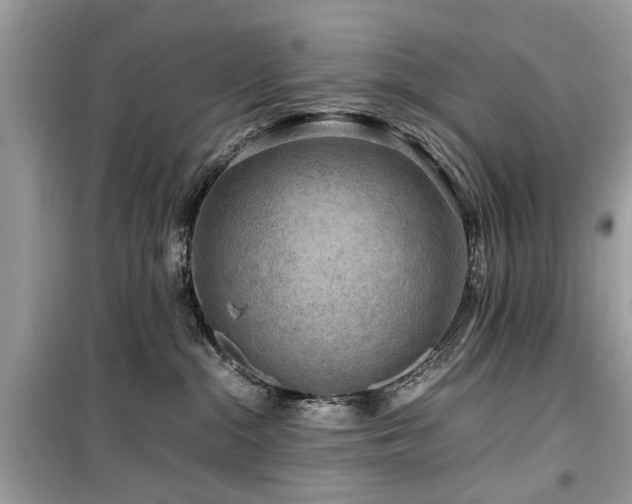 X0000099570284200805161524