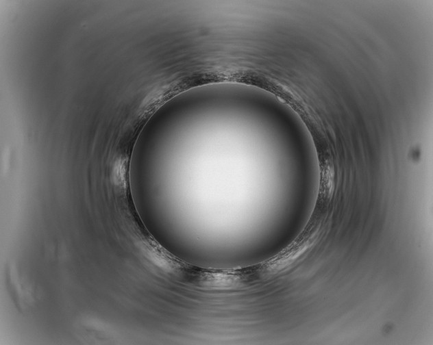 X0000099570286200805161524