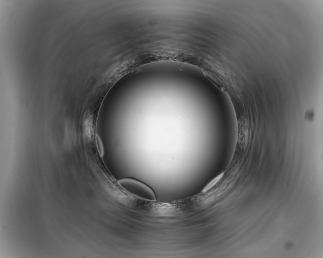 X0000099570287200805161524