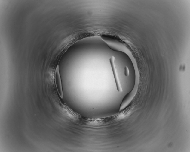 X0000099570288200805161524