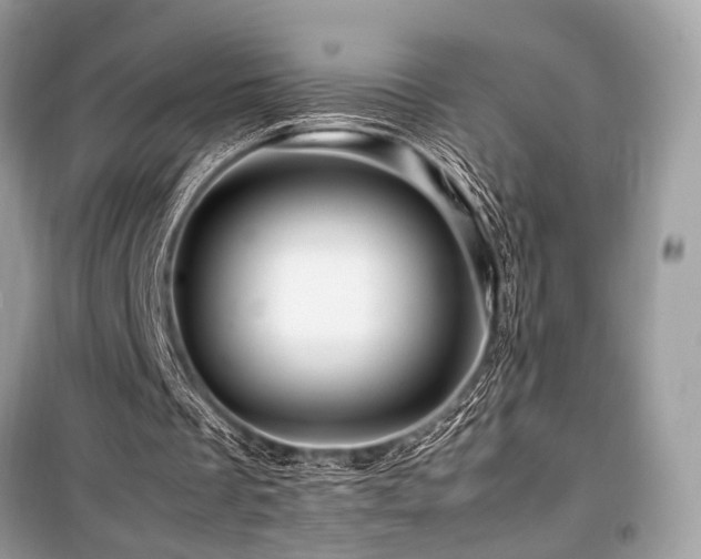 X0000099570289200805161523