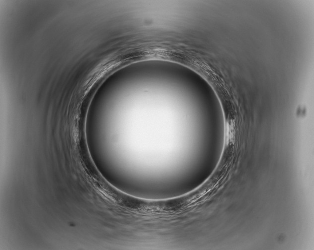 X0000099570291200805161523