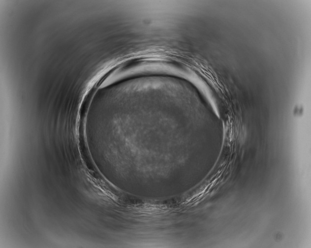 X0000099570292200805161523