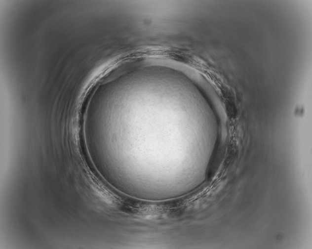 X0000099570293200805161523