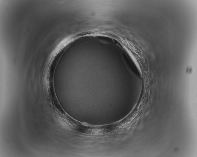 X0000099570295200805161523