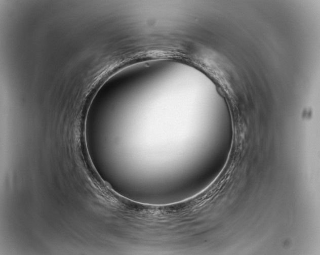 X0000099570297200805161523