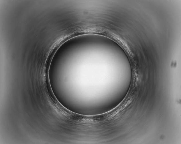 X0000099570298200805161523