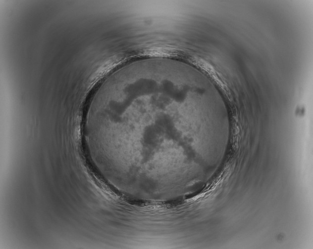 X0000099570299200805161523