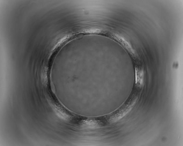 X0000099570300200805161523