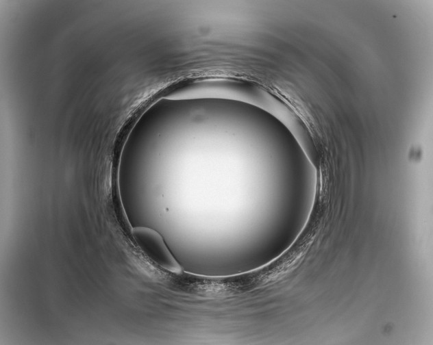 X0000099570301200805161523