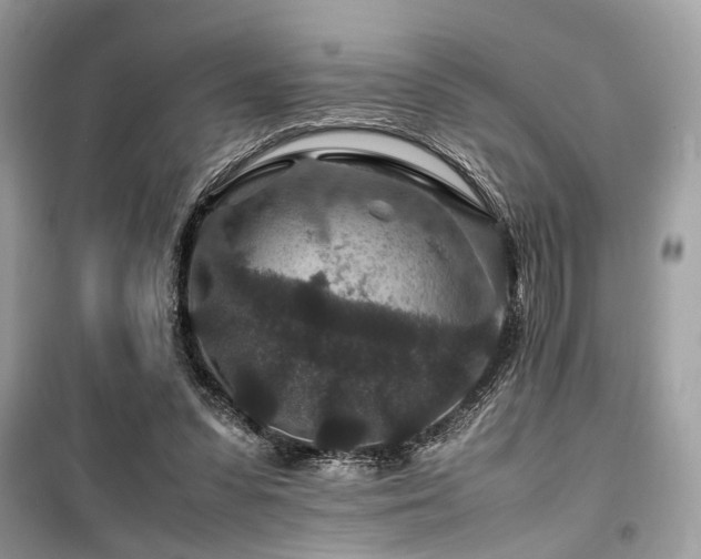 X0000099570303200805161523