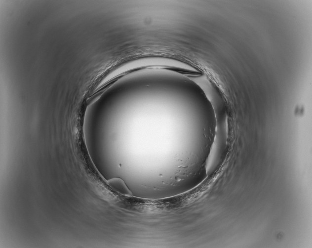 X0000099570305200805161523