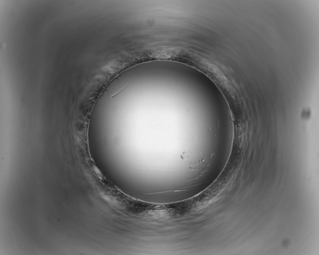 X0000099570307200805161523