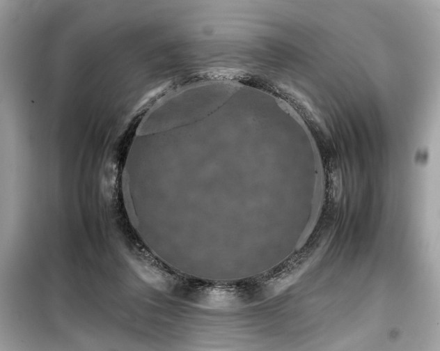 X0000099570308200805161523