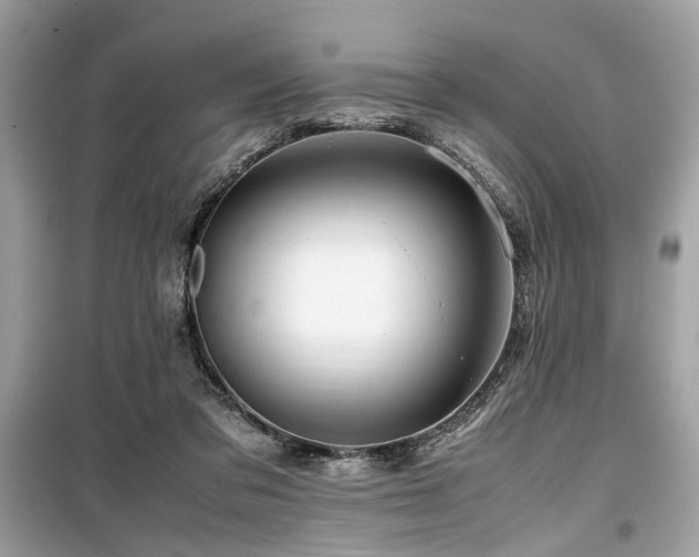 X0000099570309200805161523