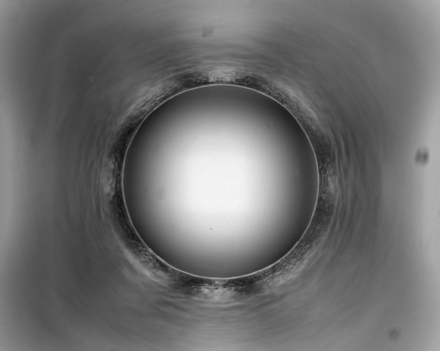 X0000099570311200805161523