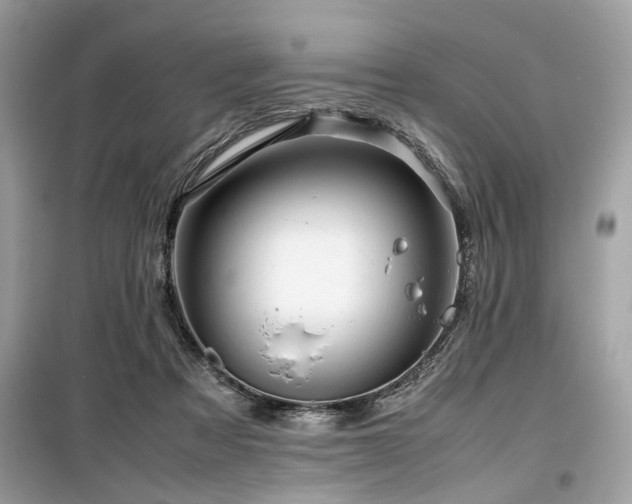 X0000099570313200805161523