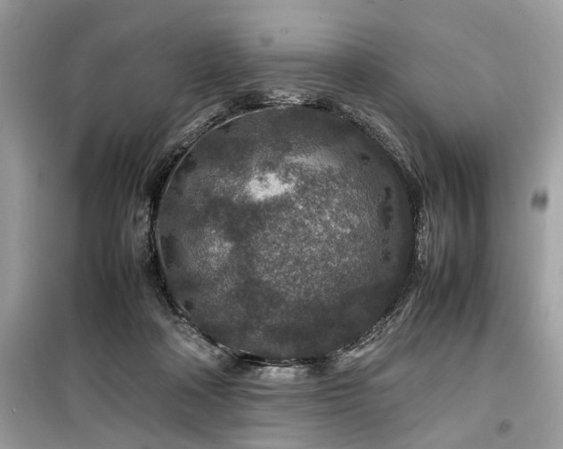 X0000099570314200805161523