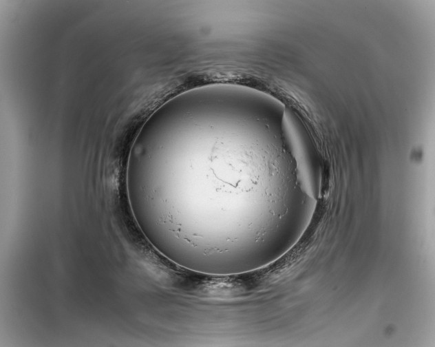 X0000099570315200805161523