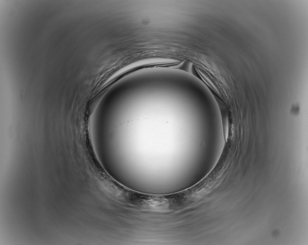 X0000099570317200805161523