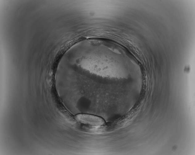 X0000099570319200805161523