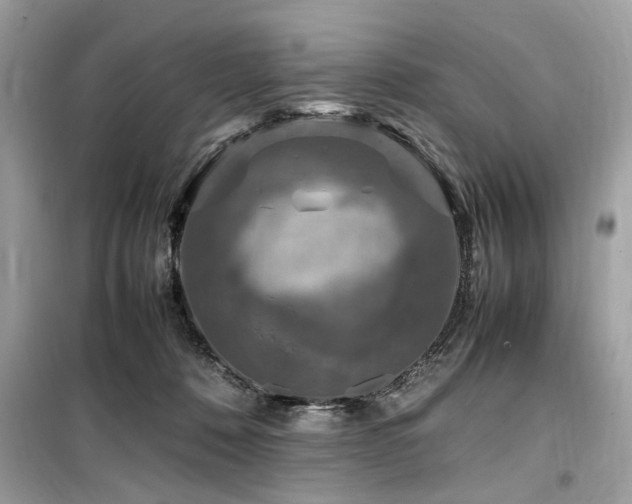 X0000099570320200805161523