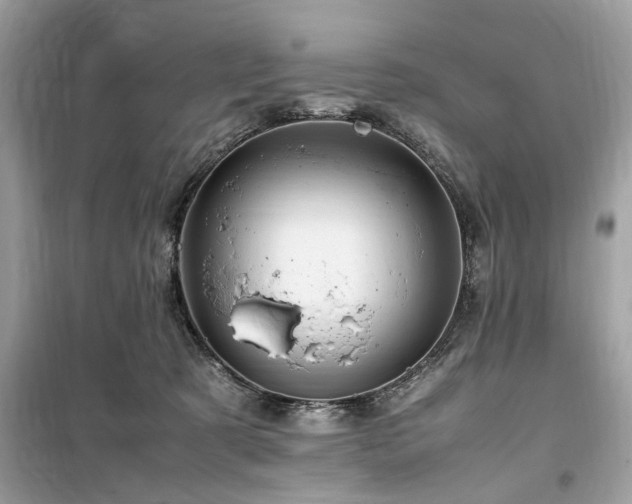 X0000099570321200805161523