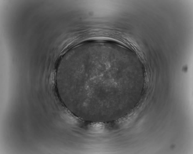 X0000099570325200805161523