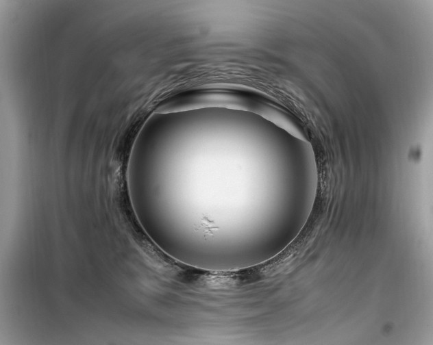 X0000099570327200805161523