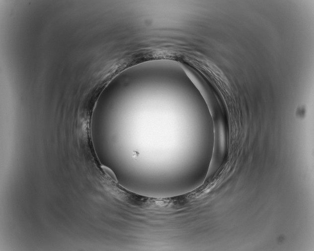 X0000099570329200805161523