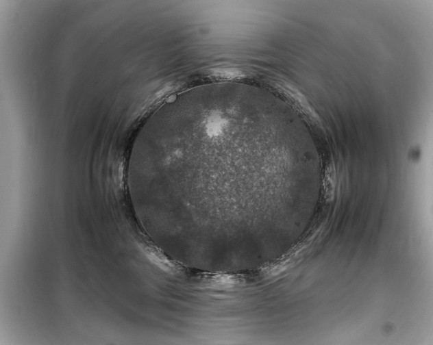 X0000099570330200805161523