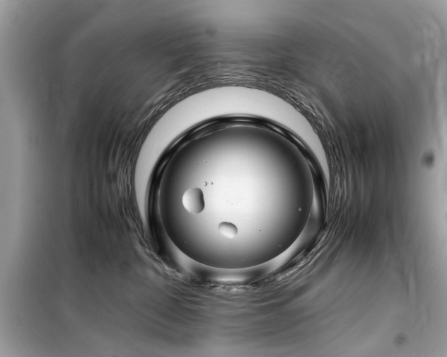 X0000099570332200805161522