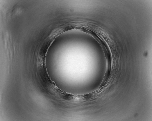 X0000099570333200805161522