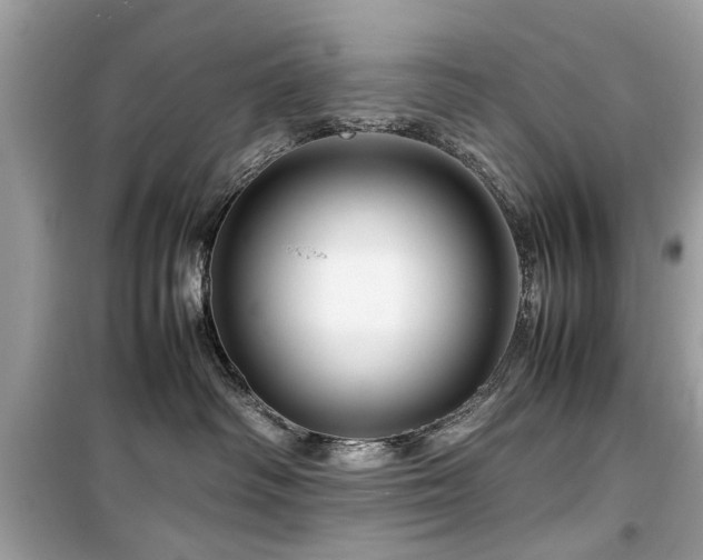 X0000099570334200805161522