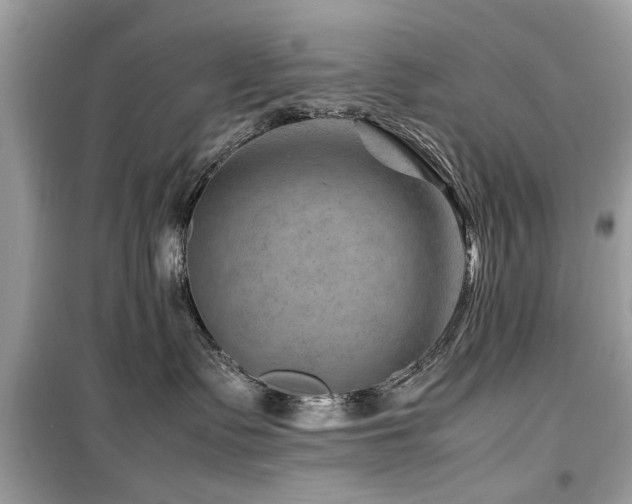 X0000099570335200805161522