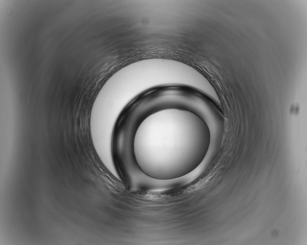 X0000099570336200805161522