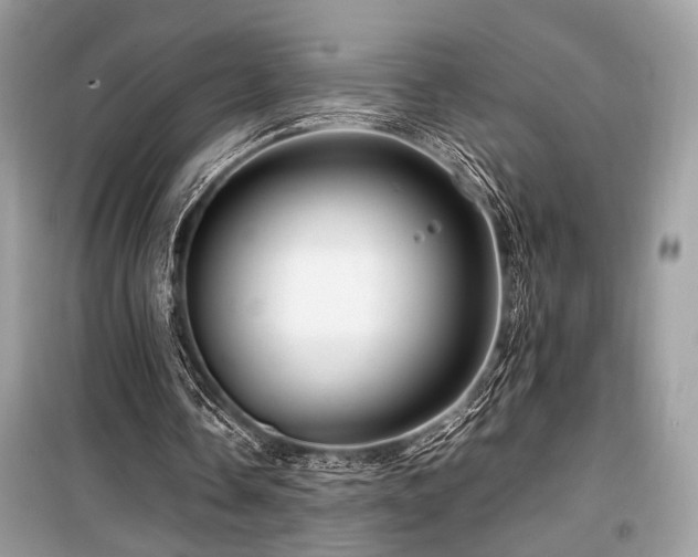 X0000099570338200805161522