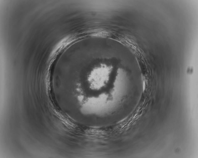 X0000099570339200805161522