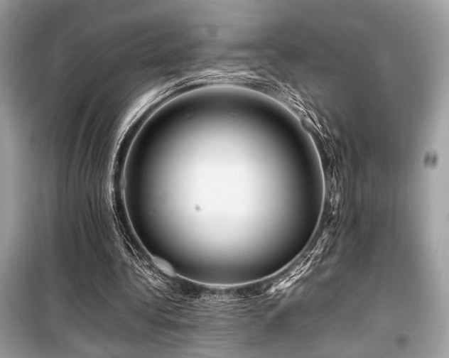 X0000099570340200805161522