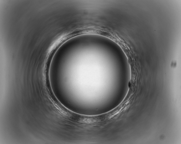 X0000099570341200805161522