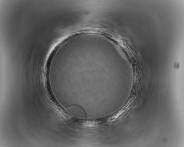 X0000099570342200805161522