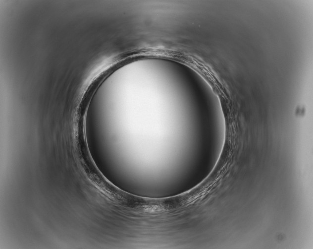 X0000099570344200805161522