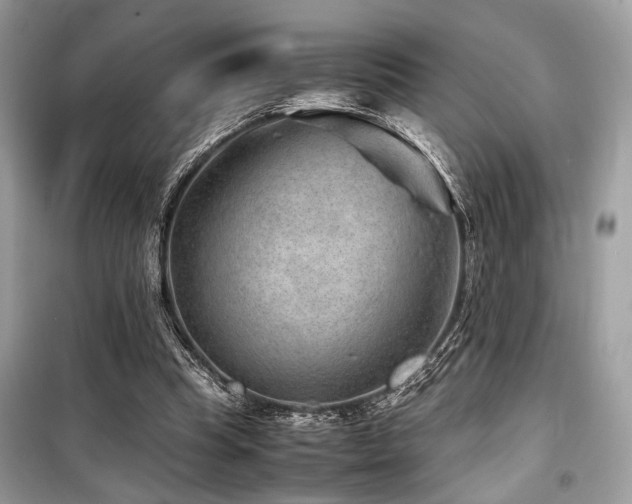 X0000099570345200805161522