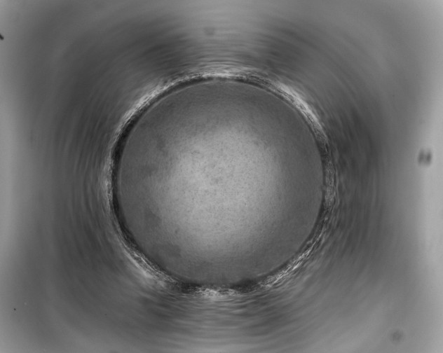 X0000099570346200805161522