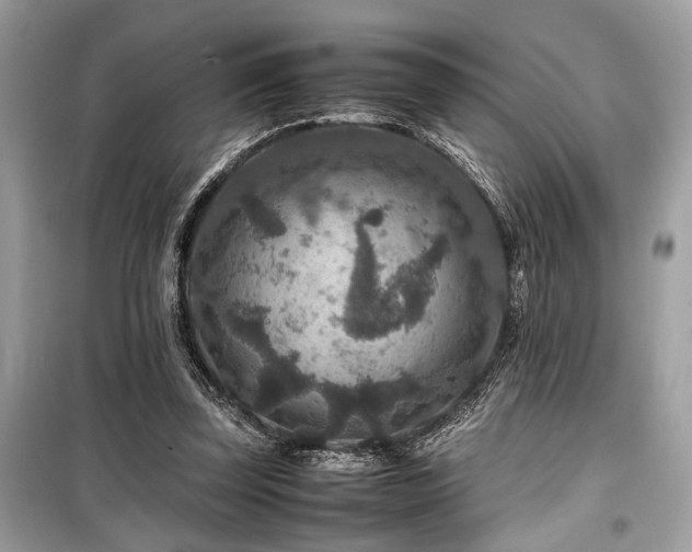 X0000099570347200805161522