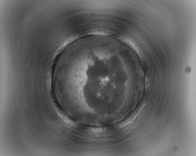 X0000099570349200805161522