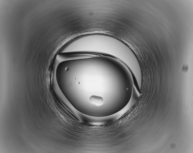 X0000099570350200805161522